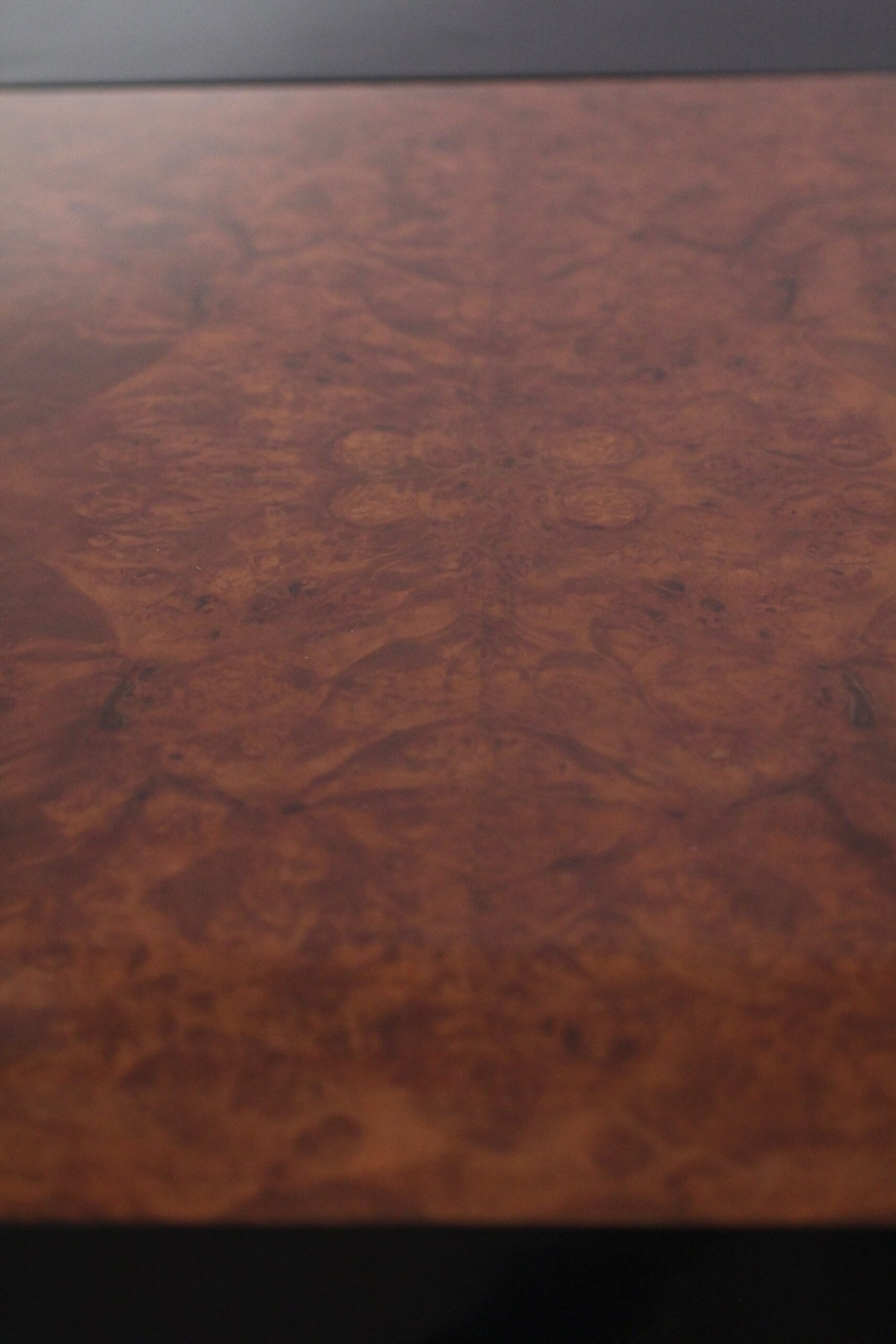 Art Deco Dining Room, Table Expandable, Extending, Pull-Out, Chrome Thuja Roots.13