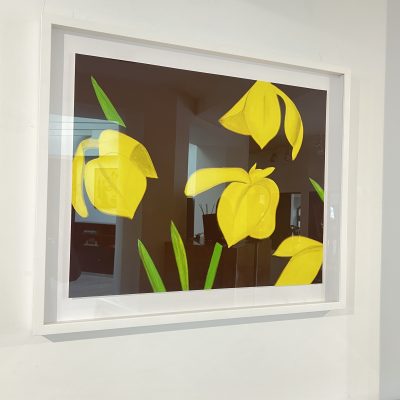 Alex Katz - Yellow Flags on Brown2